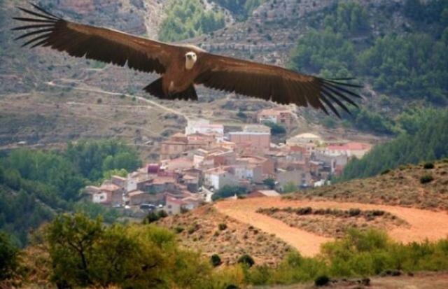 Apartamento Rural La Cascada De Calmarza ภายนอก รูปภาพ