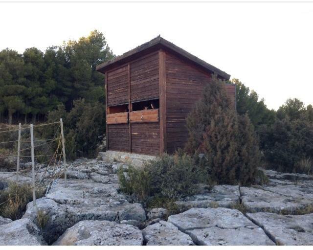 Apartamento Rural La Cascada De Calmarza ภายนอก รูปภาพ
